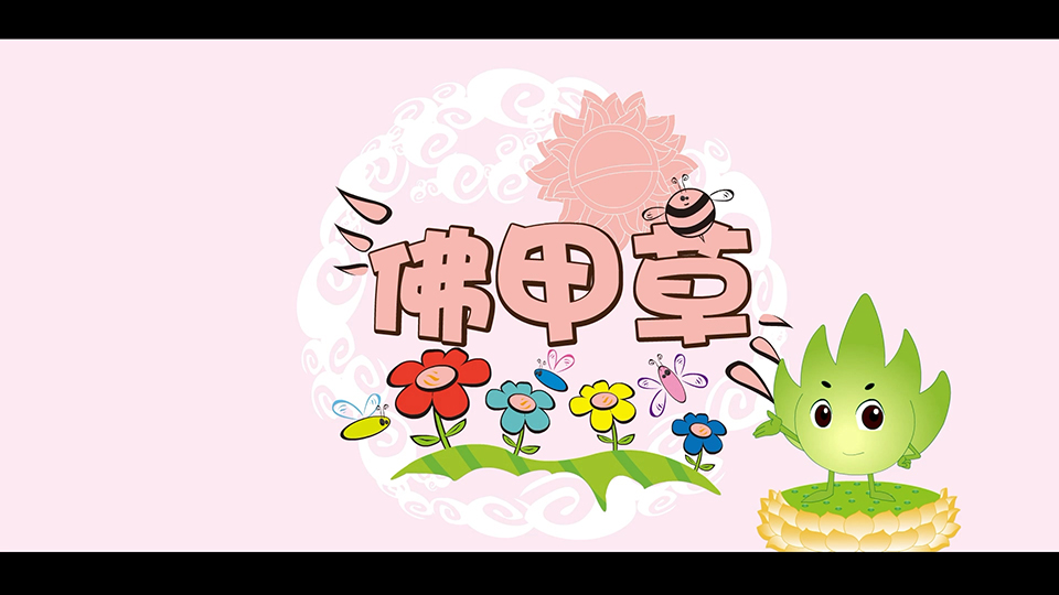 上海市環(huán)境學校 佛甲草