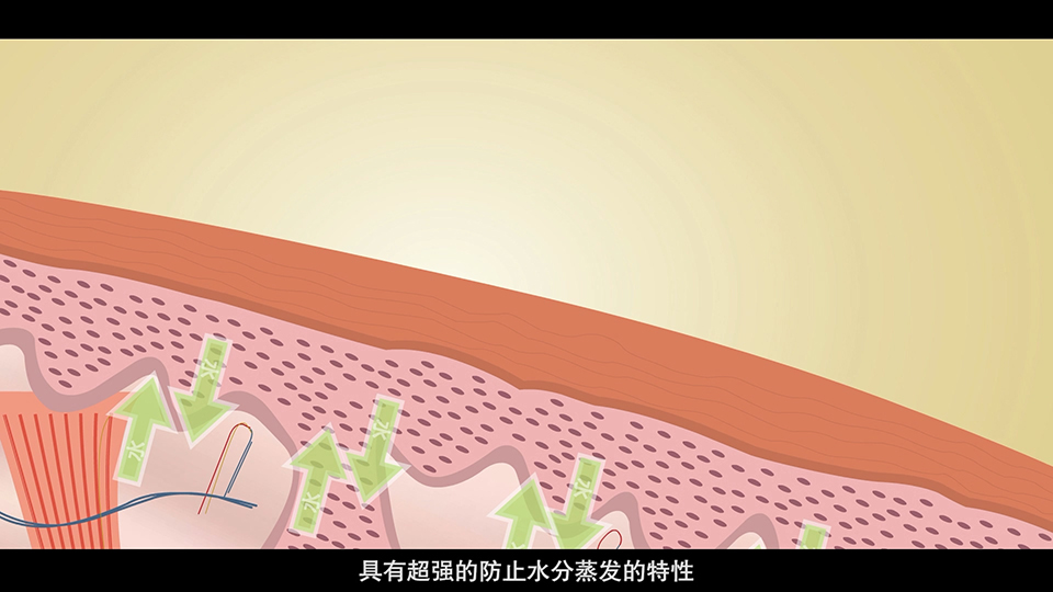 上海市環(huán)境學校 佛甲草