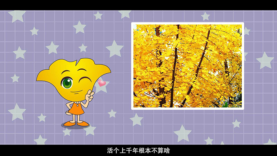 上海市環(huán)境學校 銀杏