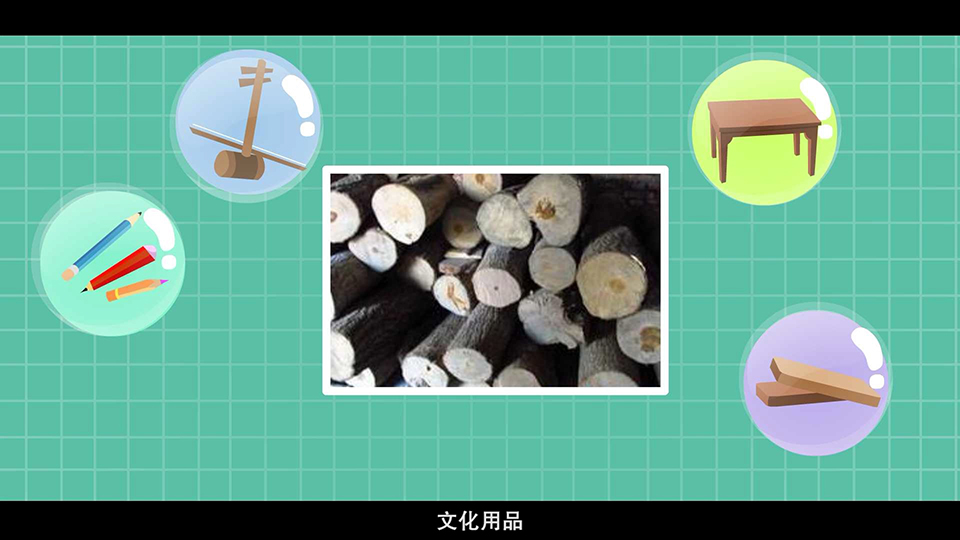 上海市環(huán)境學校 銀杏